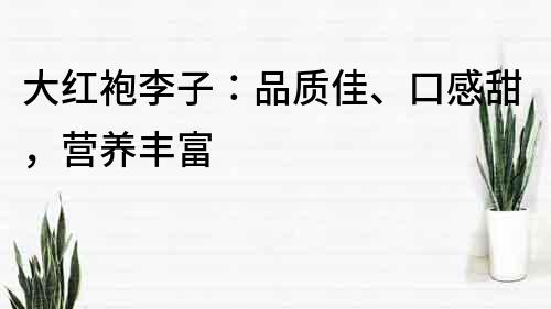 大红袍李子：品质佳、口感甜，营养丰富