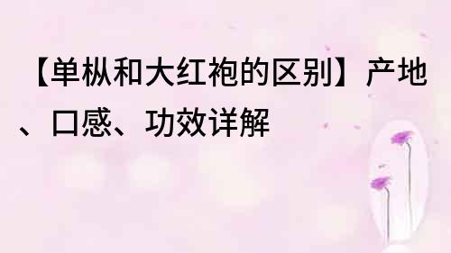 【单枞和大红袍的区别】产地、口感、功效详解