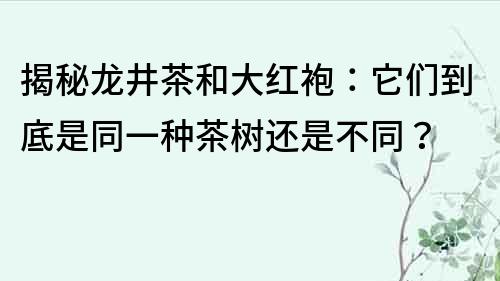 揭秘龙井茶和大红袍：它们到底是同一种茶树还是不同？