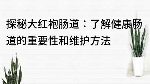 探秘大红袍肠道：了解健康肠道的重要性和维护方法