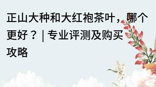 正山大种和大红袍茶叶，哪个更好？ | 专业评测及购买攻略