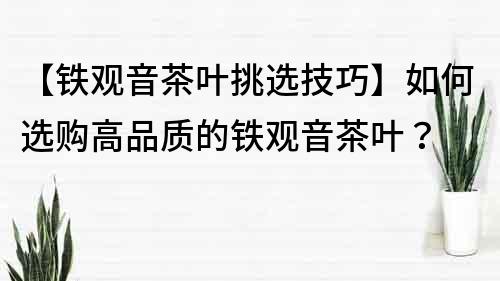 【铁观音茶叶挑选技巧】如何选购高品质的铁观音茶叶？