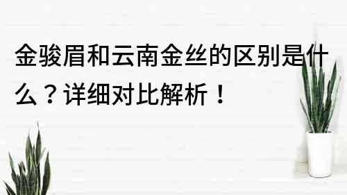 金骏眉和云南金丝的区别是什么？详细对比解析！