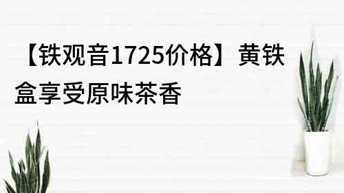 【铁观音1725价格】黄铁盒享受原味茶香