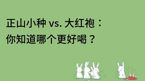 正山小种 vs. 大红袍：你知道哪个更好喝？