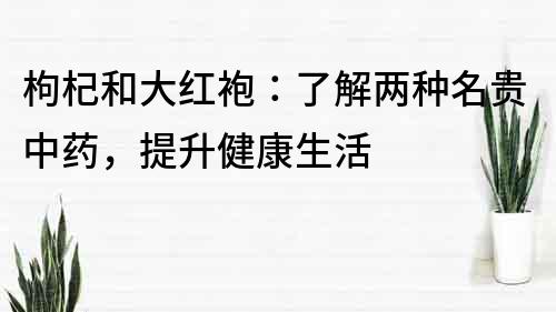 枸杞和大红袍：了解两种名贵中药，提升健康生活