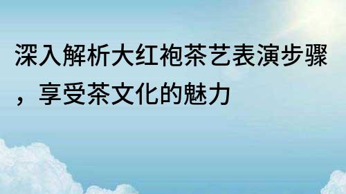 深入解析大红袍茶艺表演步骤，享受茶文化的魅力