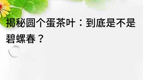 揭秘圆个蛋茶叶：到底是不是碧螺春？