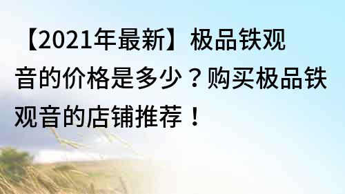 【2022年最新】极品铁观音的价格是多少？购买极品铁观音的店铺推荐！