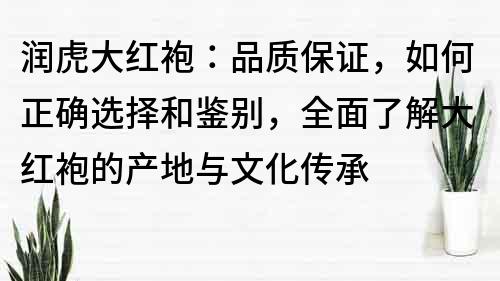 润虎大红袍：品质保证，如何正确选择和鉴别，全面了解大红袍的产地与文化传承