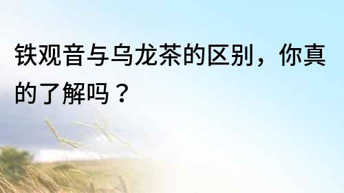 铁观音与乌龙茶的区别，你真的了解吗？