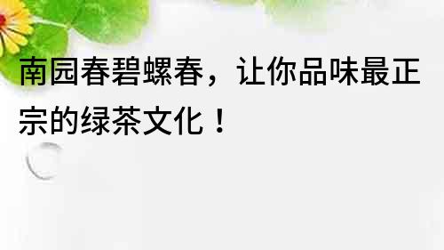 南园春碧螺春，让你品味最正宗的绿茶文化！