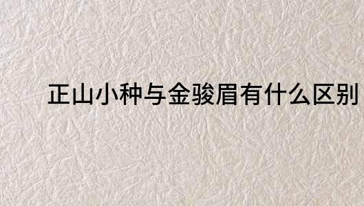 正山小种与金骏眉有什么区别？