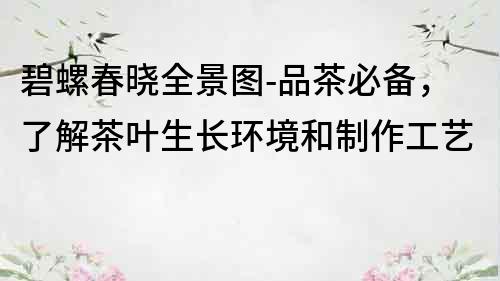 碧螺春晓全景图-品茶必备，了解茶叶生长环境和制作工艺