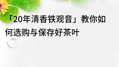 「20年清香铁观音」教你如何选购与保存好茶叶