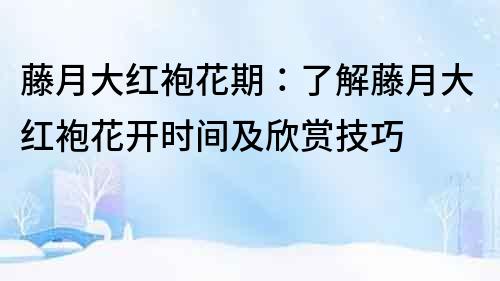 藤月大红袍花期：了解藤月大红袍花开时间及欣赏技巧