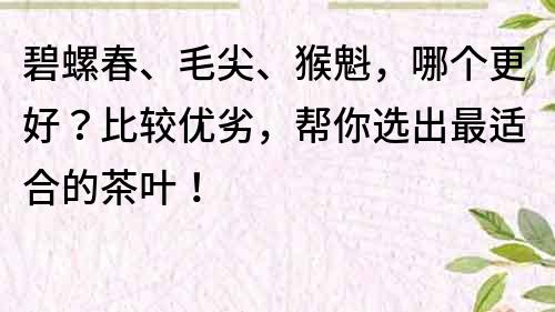 碧螺春、毛尖、猴魁，哪个更好？比较优劣，帮你选出最适合的茶叶！