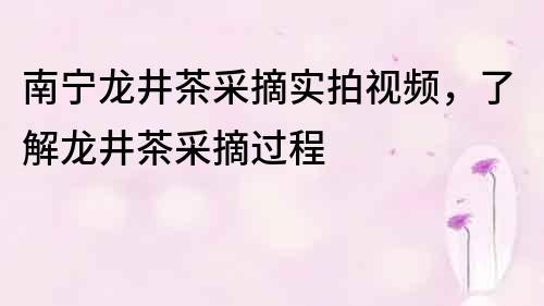 南宁龙井茶采摘实拍视频，了解龙井茶采摘过程