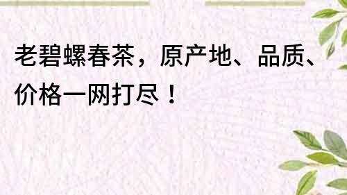 老碧螺春茶，原产地、品质、价格一网打尽！