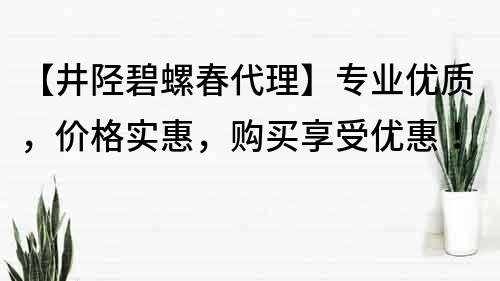 【井陉碧螺春代理】专业优质，价格实惠，购买享受优惠！