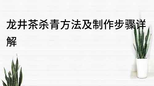 龙井茶杀青方法及制作步骤详解