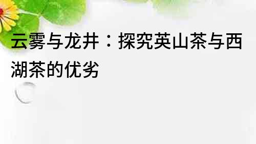 云雾与龙井：探究英山茶与西湖茶的优劣