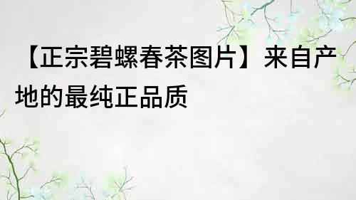 【正宗碧螺春茶图片】来自产地的最纯正品质