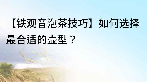 【铁观音泡茶技巧】如何选择最合适的壶型？