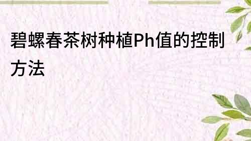 碧螺春茶树种植Ph值的控制方法