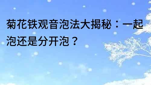 菊花铁观音泡法大揭秘：一起泡还是分开泡？