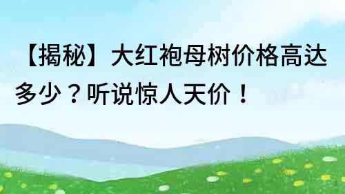 【揭秘】大红袍母树价格高达多少？听说惊人天价！