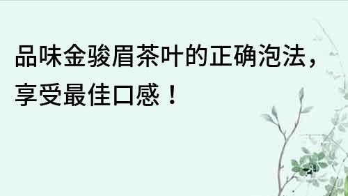 品味金骏眉茶叶的正确泡法，享受最佳口感！