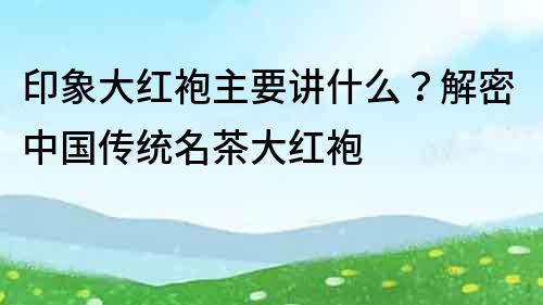 印象大红袍主要讲什么？解密中国传统名茶大红袍