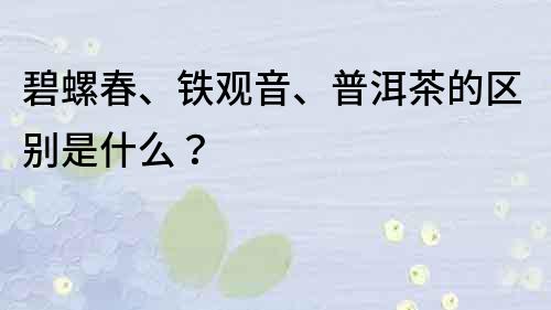 碧螺春、铁观音、普洱茶的区别是什么？