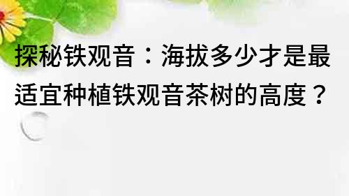 探秘铁观音：海拔多少才是最适宜种植铁观音茶树的高度？