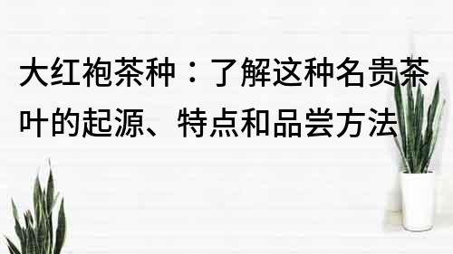 大红袍茶种：了解这种名贵茶叶的起源、特点和品尝方法