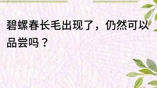 碧螺春长毛出现了，仍然可以品尝吗？