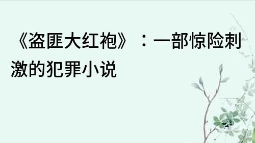 《盗匪大红袍》：一部惊险刺激的犯罪小说