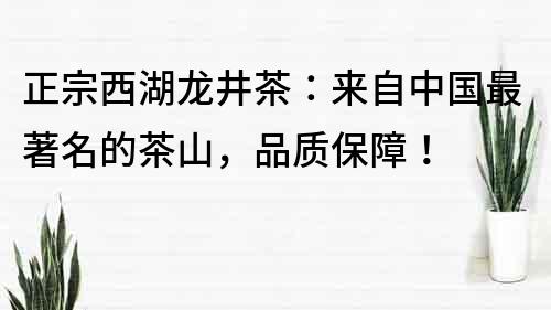 正宗西湖龙井茶：来自中国最著名的茶山，品质保障！