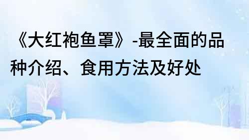 《大红袍鱼罩》-最全面的品种介绍、食用方法及好处