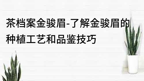 茶档案金骏眉-了解金骏眉的种植工艺和品鉴技巧