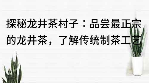 探秘龙井茶村子：品尝最正宗的龙井茶，了解传统制茶工艺