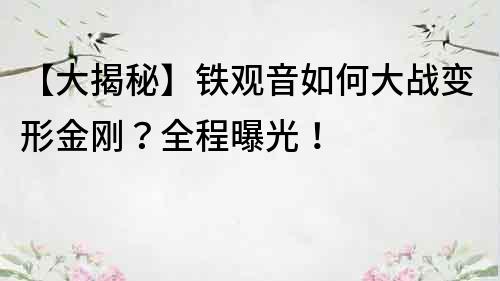 【大揭秘】铁观音如何大战变形金刚？全程曝光！