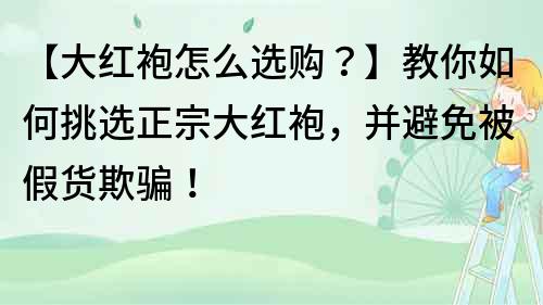 【大红袍怎么选购？】教你如何挑选正宗大红袍，并避免被假货欺骗！