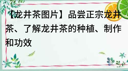 【龙井茶图片】品尝正宗龙井茶、了解龙井茶的种植、制作和功效