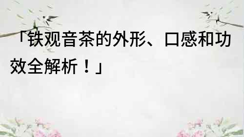 「铁观音茶的外形、口感和功效全解析！」