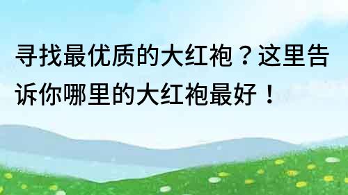 寻找最优质的大红袍？这里告诉你哪里的大红袍最好！