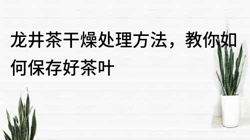 龙井茶干燥处理方法，教你如何保存好茶叶