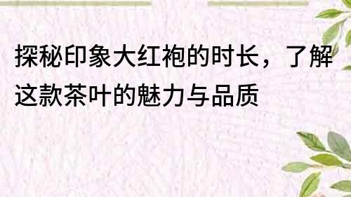 探秘印象大红袍的时长，了解这款茶叶的魅力与品质