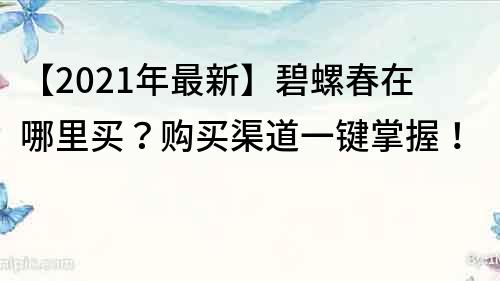 【2021年最新】碧螺春在哪里买？购买渠道一键掌握！